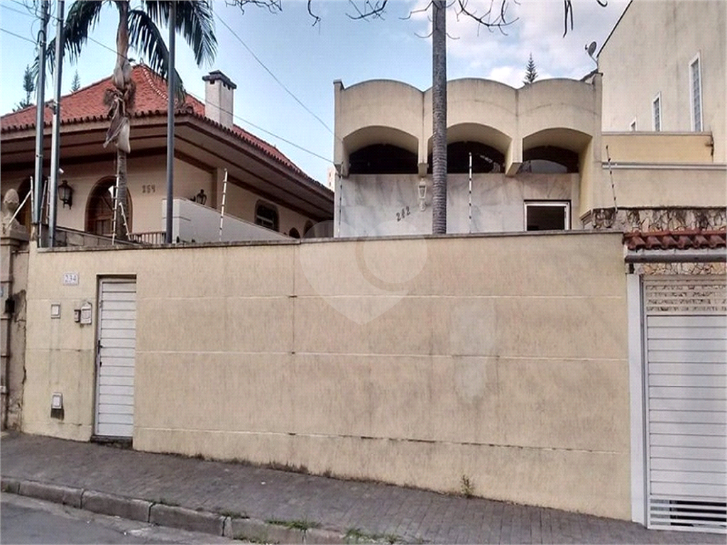 Assobradada no Tremembé 