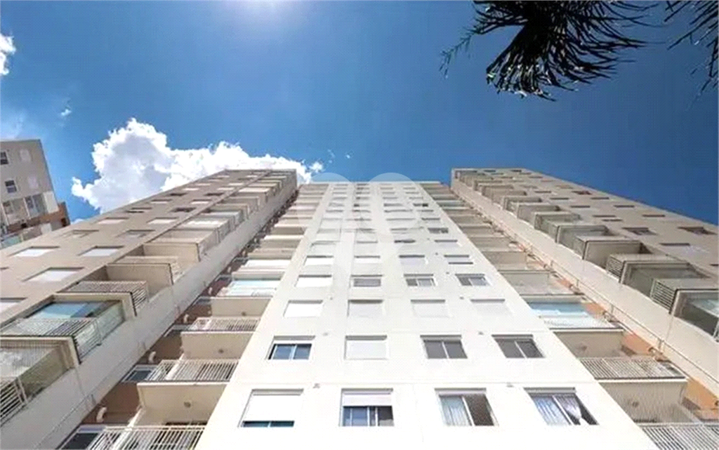 Lindo apartamento na Vila Maria