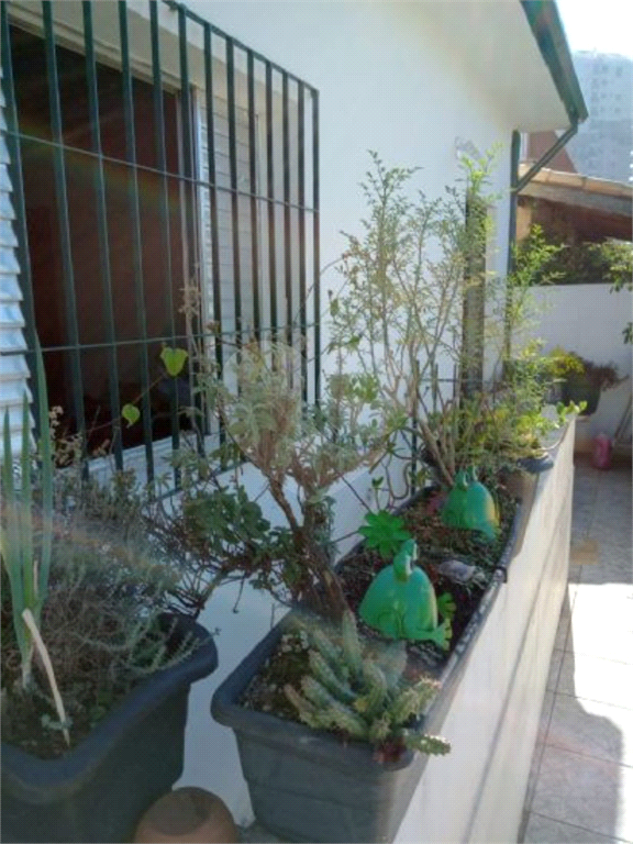 Casa Térrea para venda no Jardim São Paulo