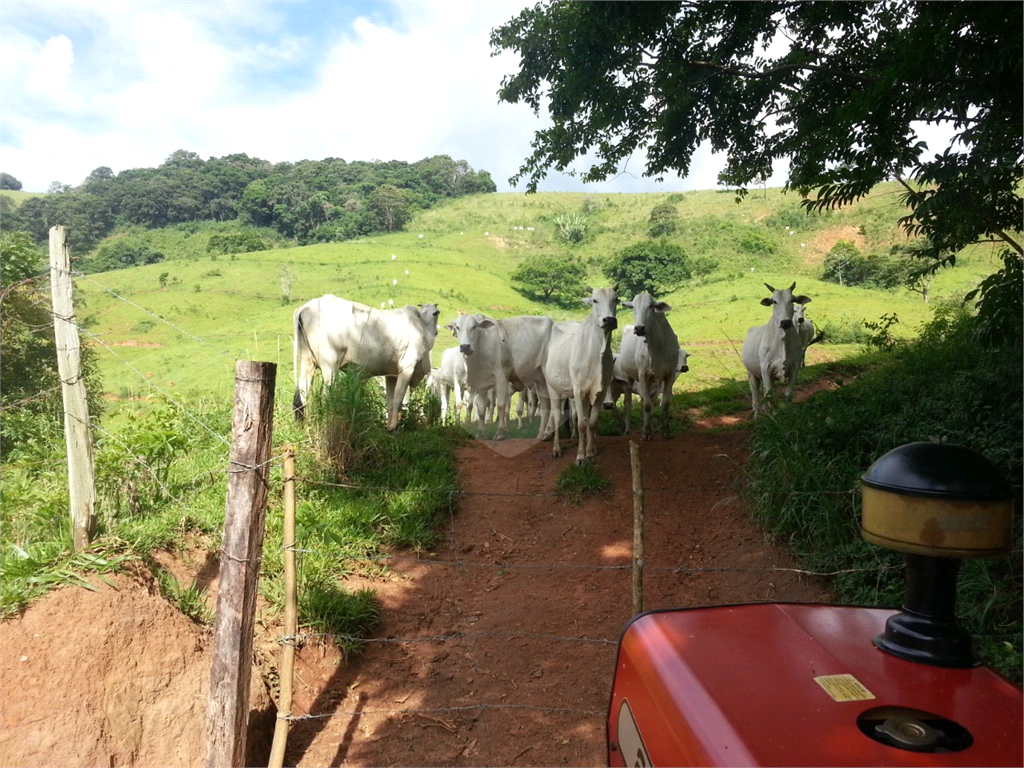 Fazenda, 110 hectares - Foto 10