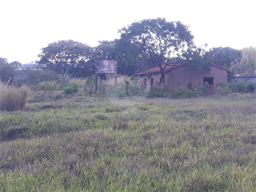 Fazenda, 110 hectares - Foto 14