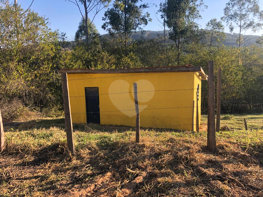 Fazenda, 110 hectares - Foto 8