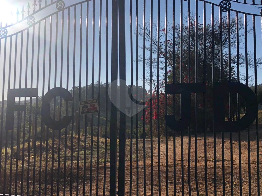 Fazenda, 110 hectares - Foto 7