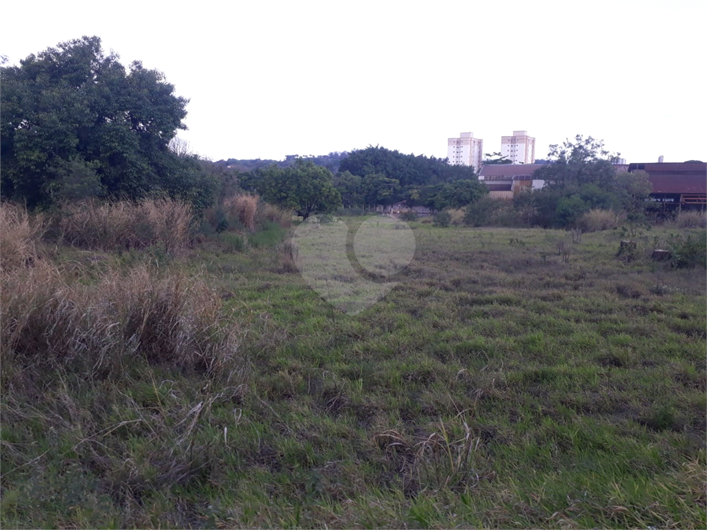 Fazenda, 110 hectares - Foto 13
