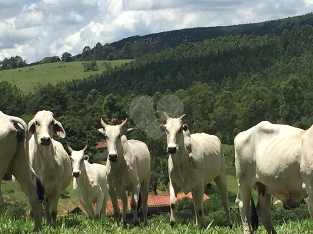 Fazenda, 110 hectares - Foto 5