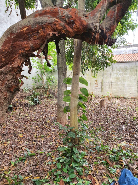 CASA em MOOCA