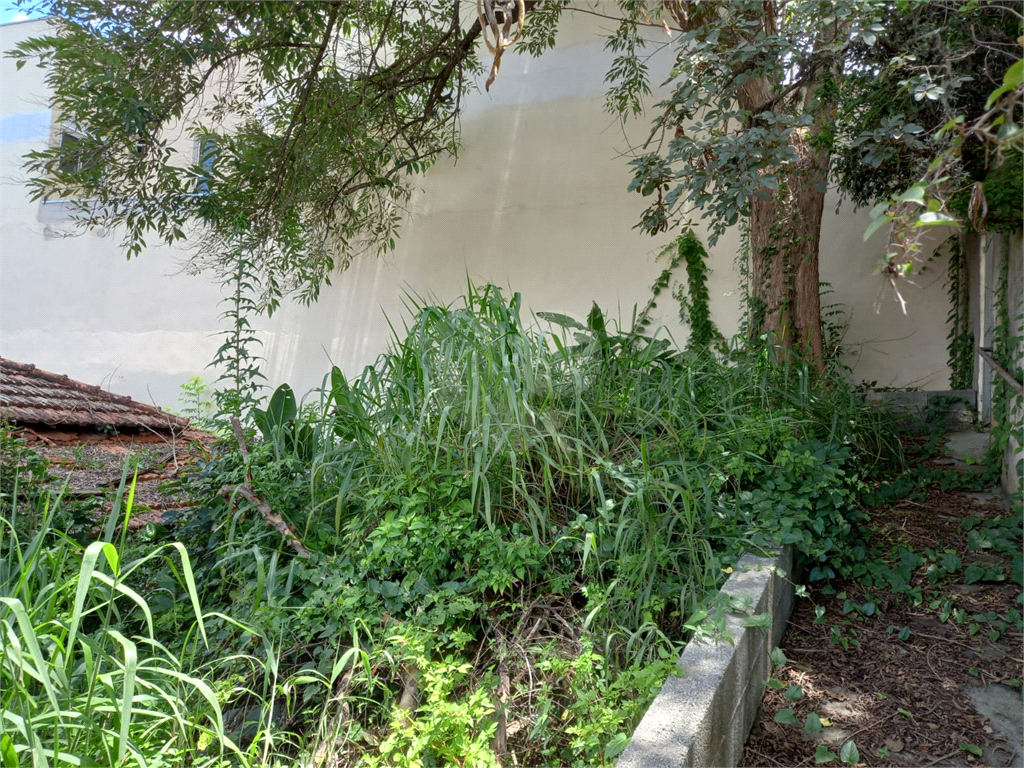 Terreno Bairro Jardim Floresta- Próximo a Serra da Cantareira