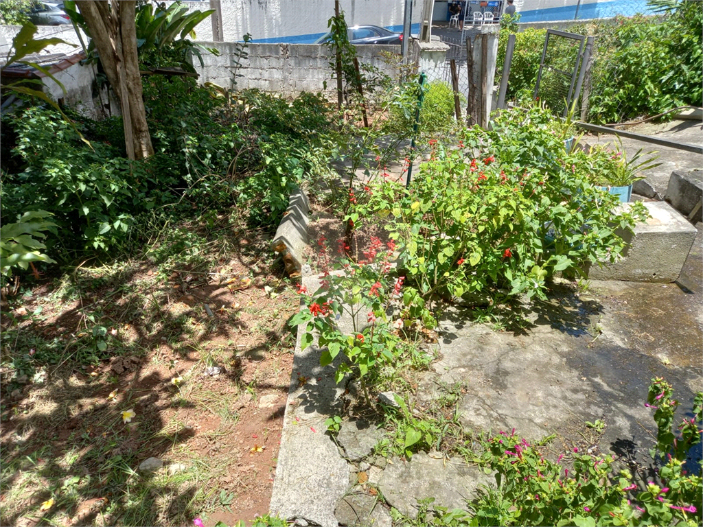 Terreno Bairro Jardim Floresta- Próximo a Serra da Cantareira