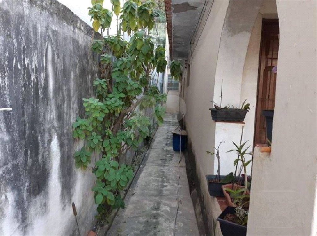 CASA em BUTANTÃ