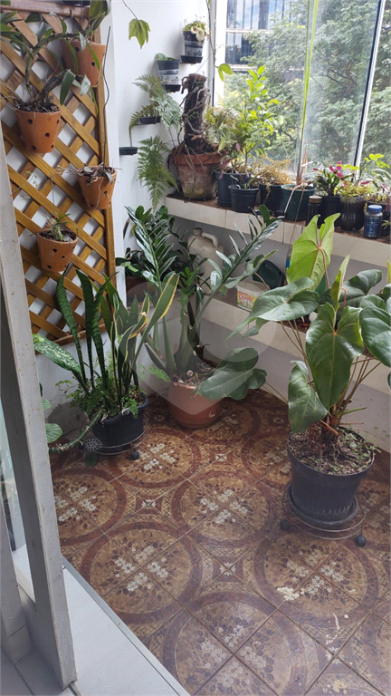 APARTAMENTO em PINHEIROS