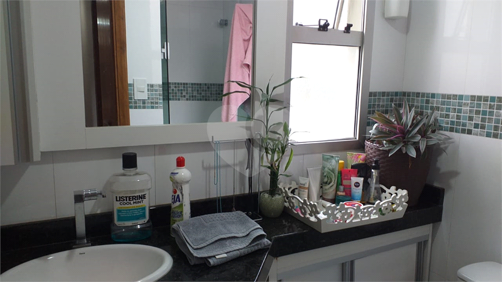 Lindo apartamento  70 metros - Pq do Mandaqui, 03 dormitórios,01 suíte, 02 banheiros, 01 vaga