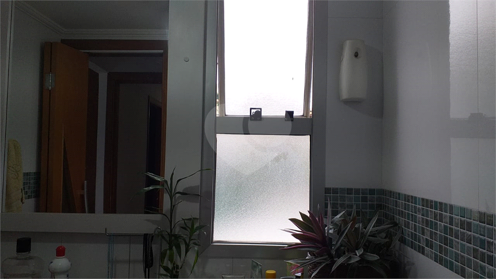 Lindo apartamento  70 metros - Pq do Mandaqui, 03 dormitórios,01 suíte, 02 banheiros, 01 vaga