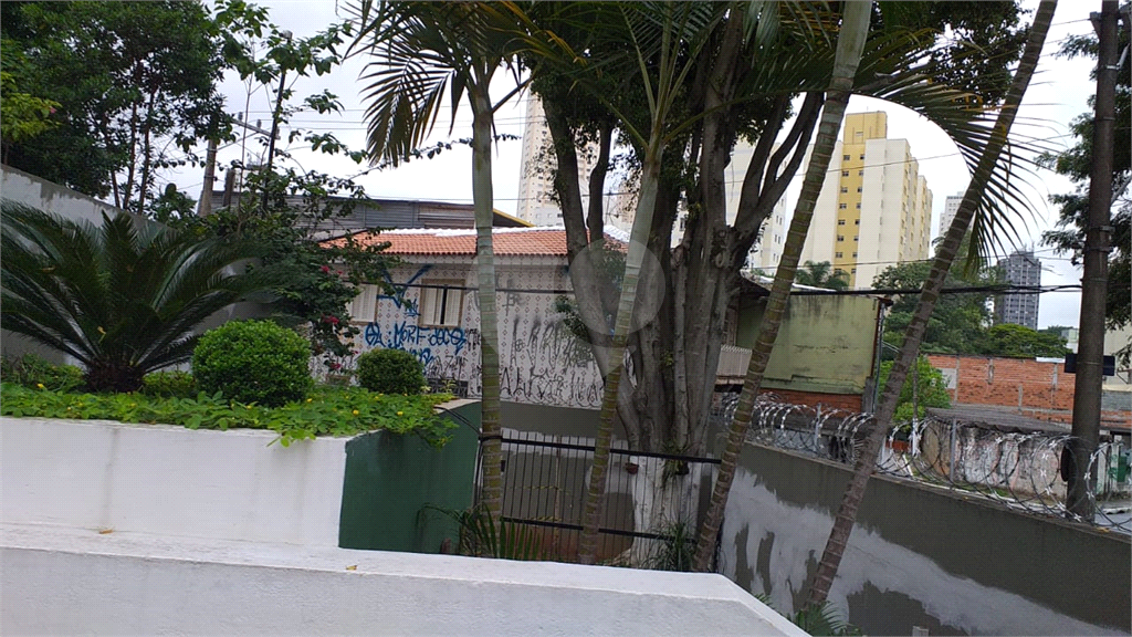 Lindo apartamento  70 metros - Pq do Mandaqui, 03 dormitórios,01 suíte, 02 banheiros, 01 vaga