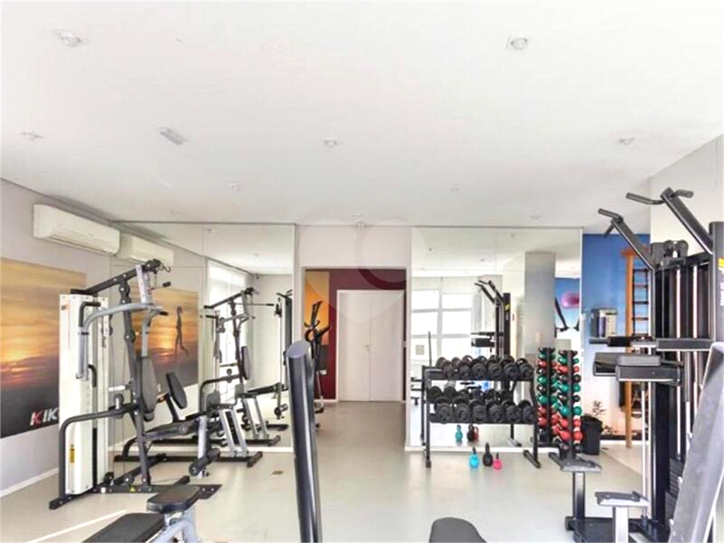 Apartamento 3 dormitórios Barra Funda 