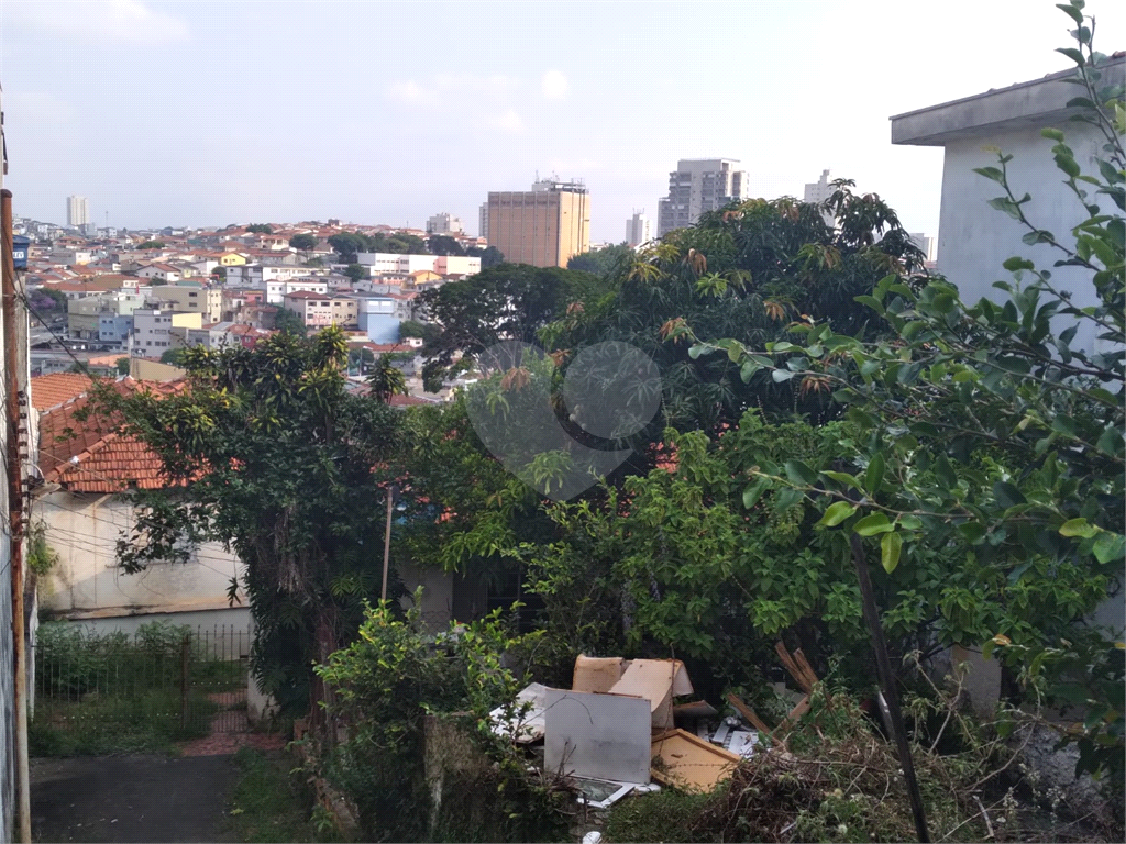 Terreno á venda - 700 m²- Vila Constança- -