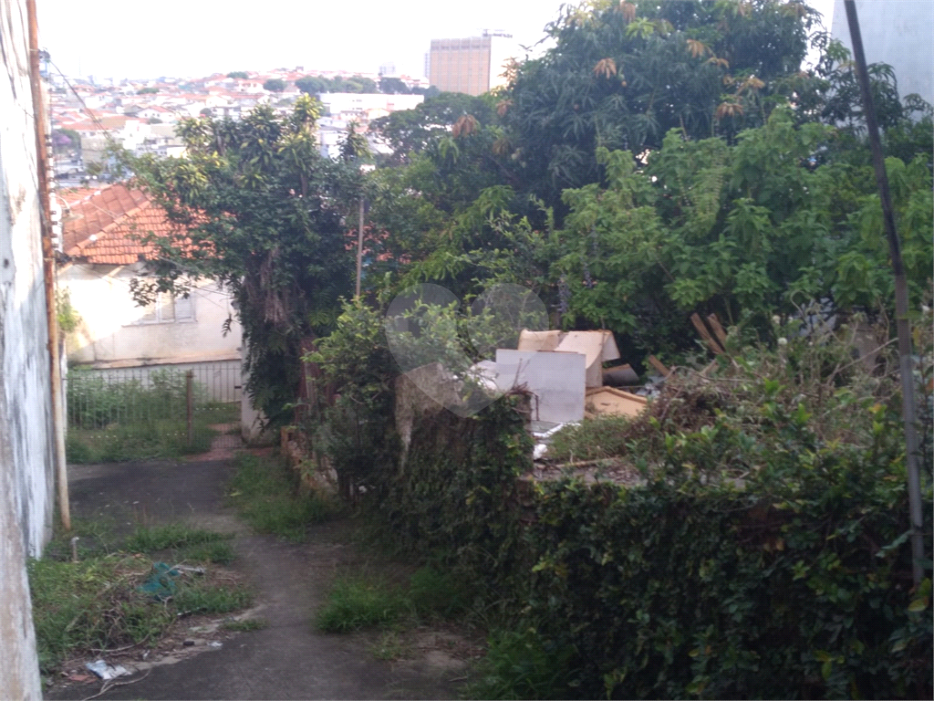 Terreno á venda - 700 m²- Vila Constança- -