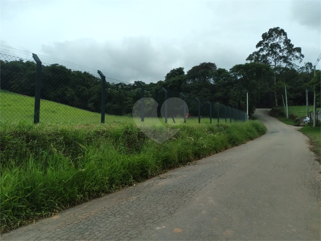 Sítio à venda e aluguel, 8000m² - Foto 8