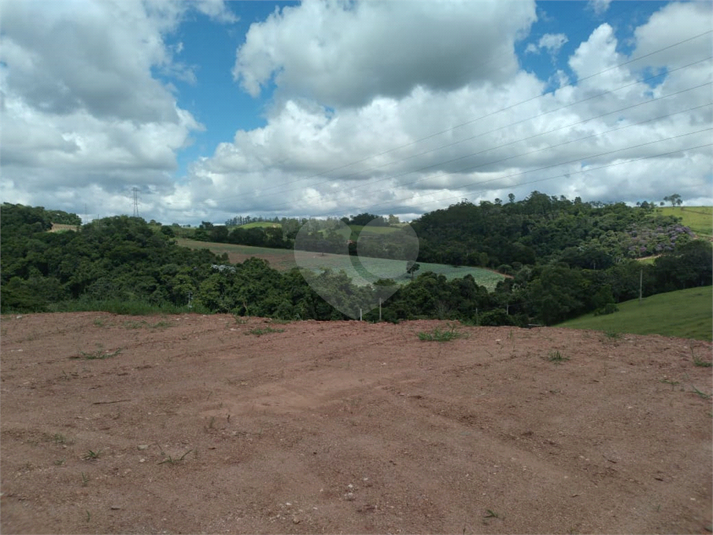 Sítio à venda e aluguel, 8000m² - Foto 2
