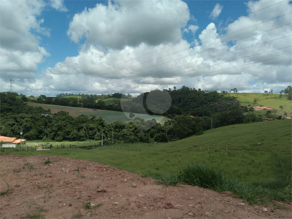 Sítio à venda e aluguel, 8000m² - Foto 3