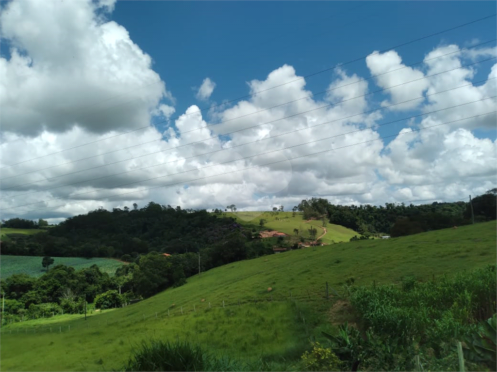 Sítio à venda e aluguel, 8000m² - Foto 10
