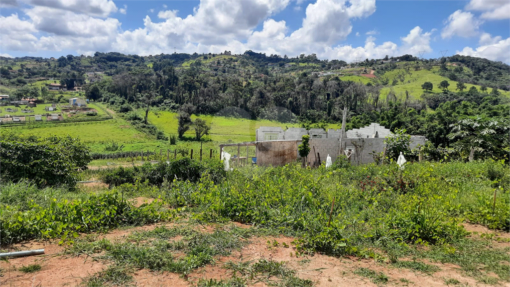 Terreno à venda, 88000m² - Foto 13