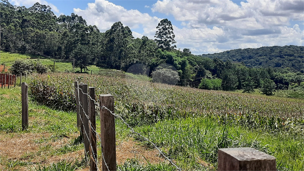 Terreno à venda, 88000m² - Foto 21