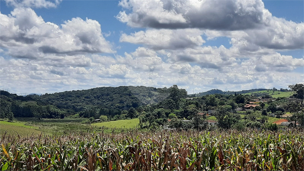 Terreno à venda, 88000m² - Foto 8