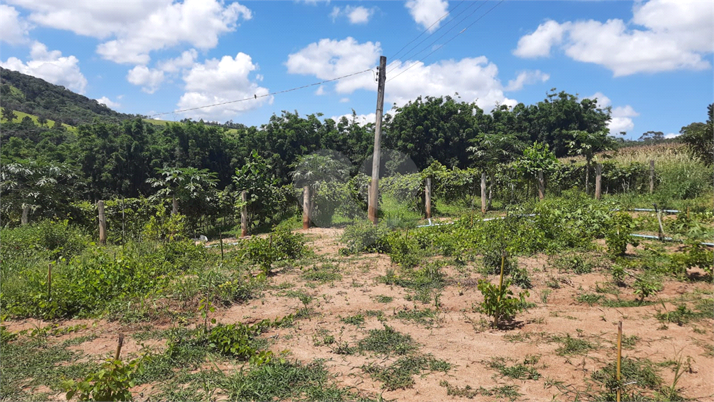 Terreno à venda, 88000m² - Foto 12