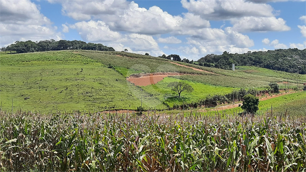 Terreno à venda, 88000m² - Foto 5