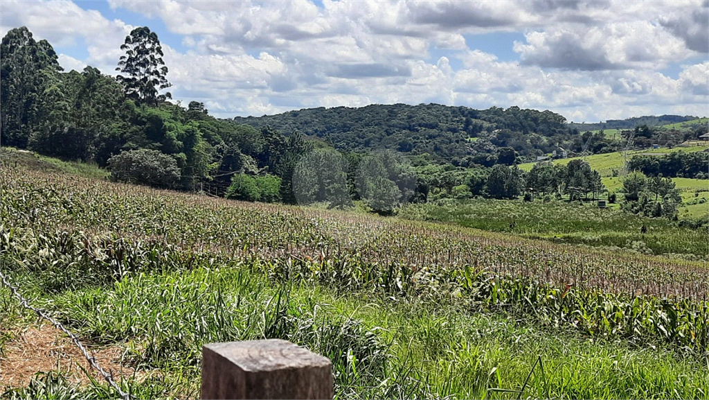 Terreno à venda, 88000m² - Foto 25