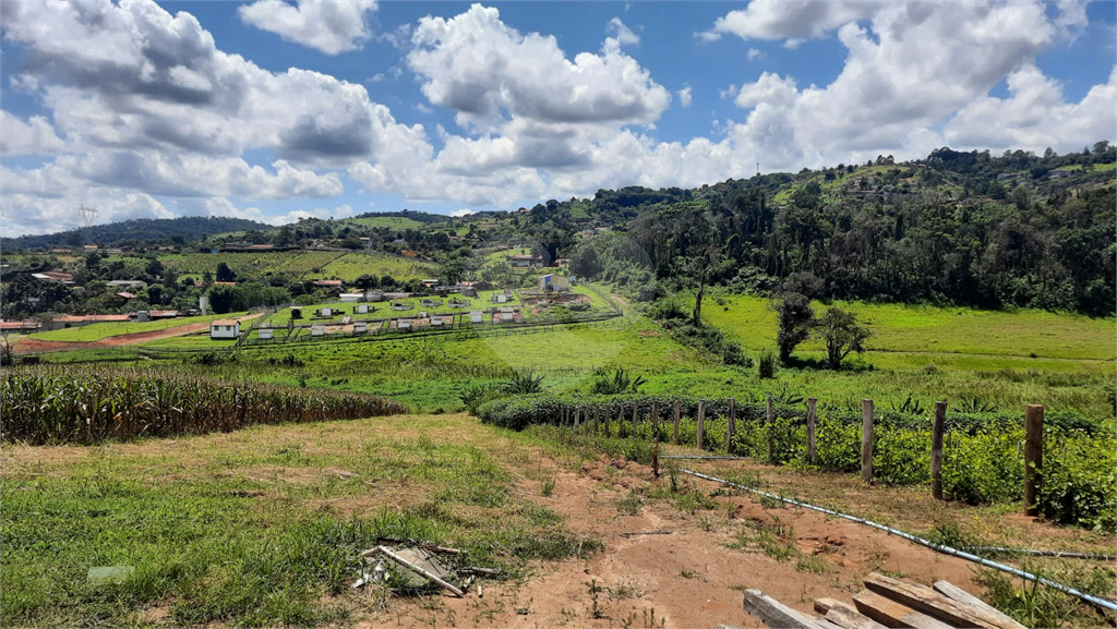 Terreno à venda, 88000m² - Foto 4