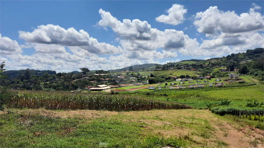 Terreno à venda, 88000m² - Foto 6