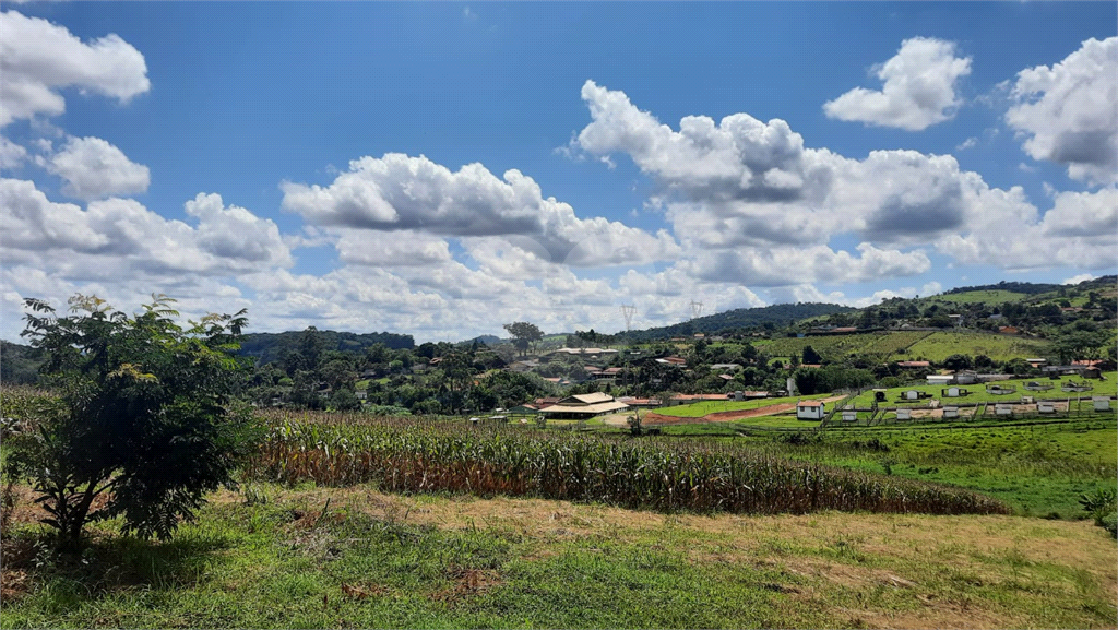 Terreno à venda, 88000m² - Foto 3