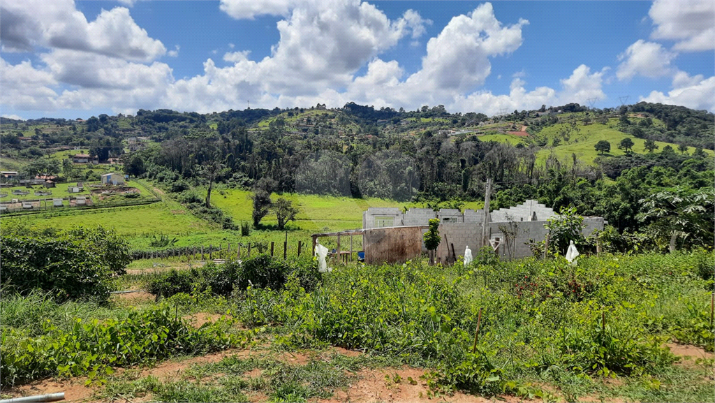 Terreno à venda, 88000m² - Foto 14