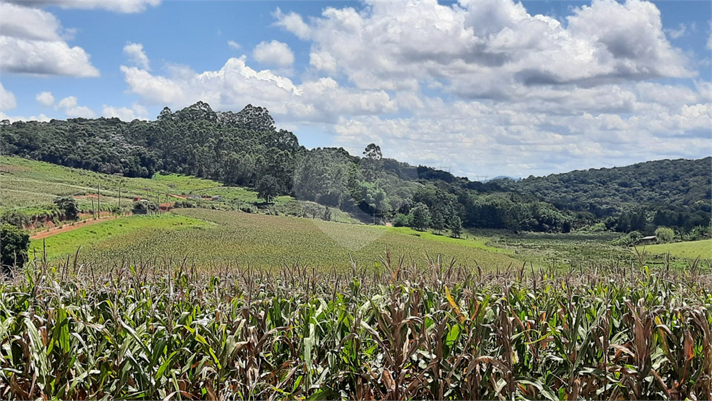 Terreno à venda, 88000m² - Foto 2