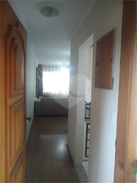 Apartamento  Amplo no Jaçana 