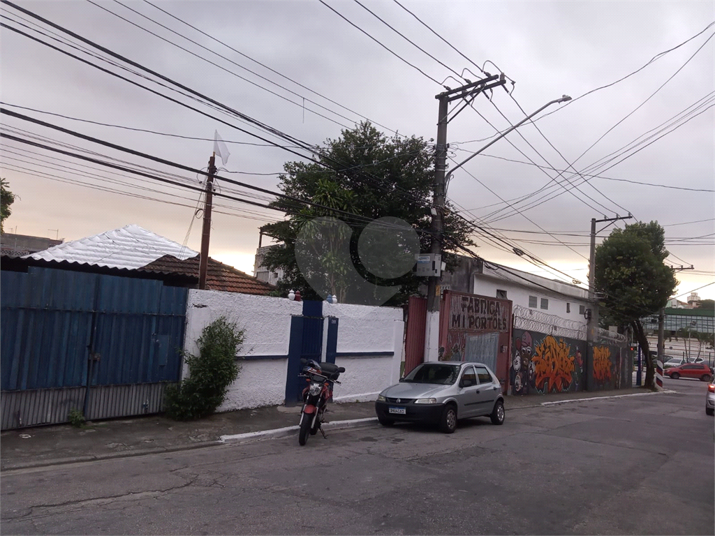 TERRENO em TUCURUVI