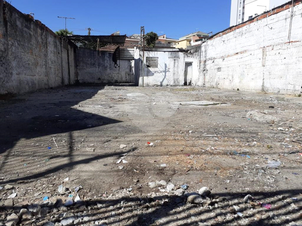 TERRENO em TUCURUVI