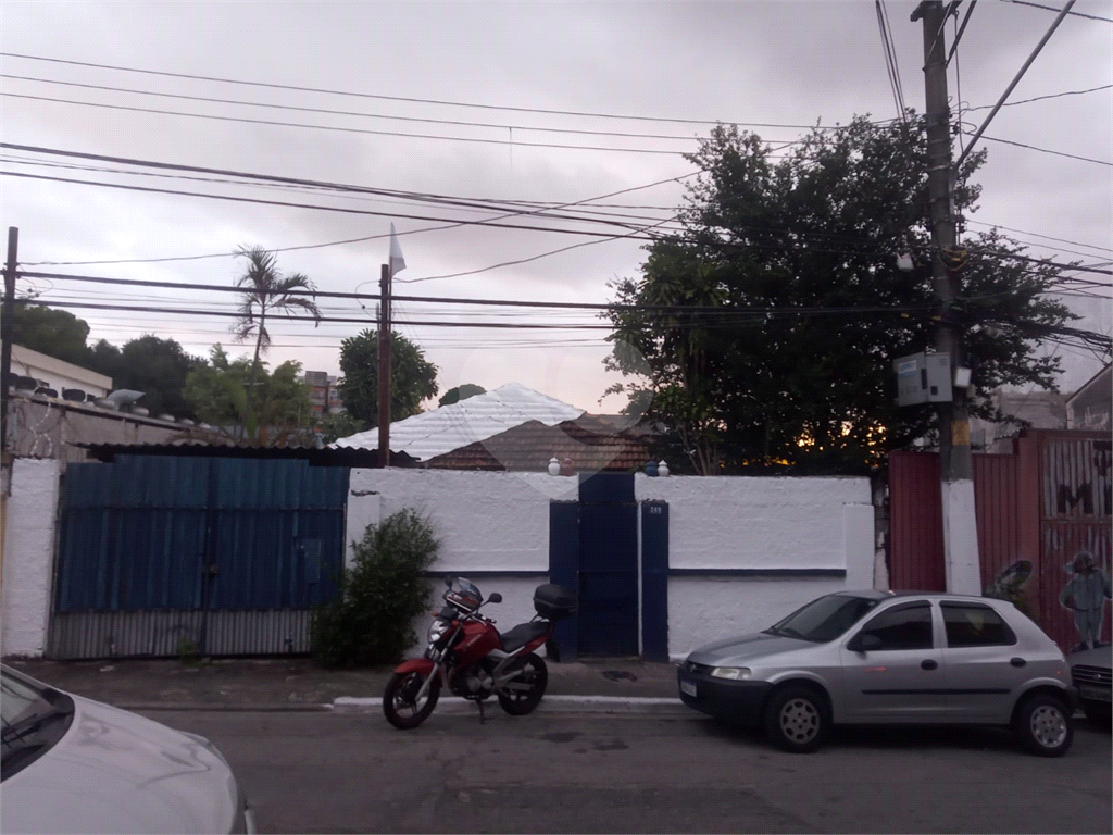 TERRENO em TUCURUVI