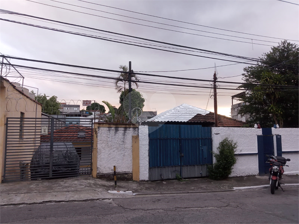 TERRENO em TUCURUVI