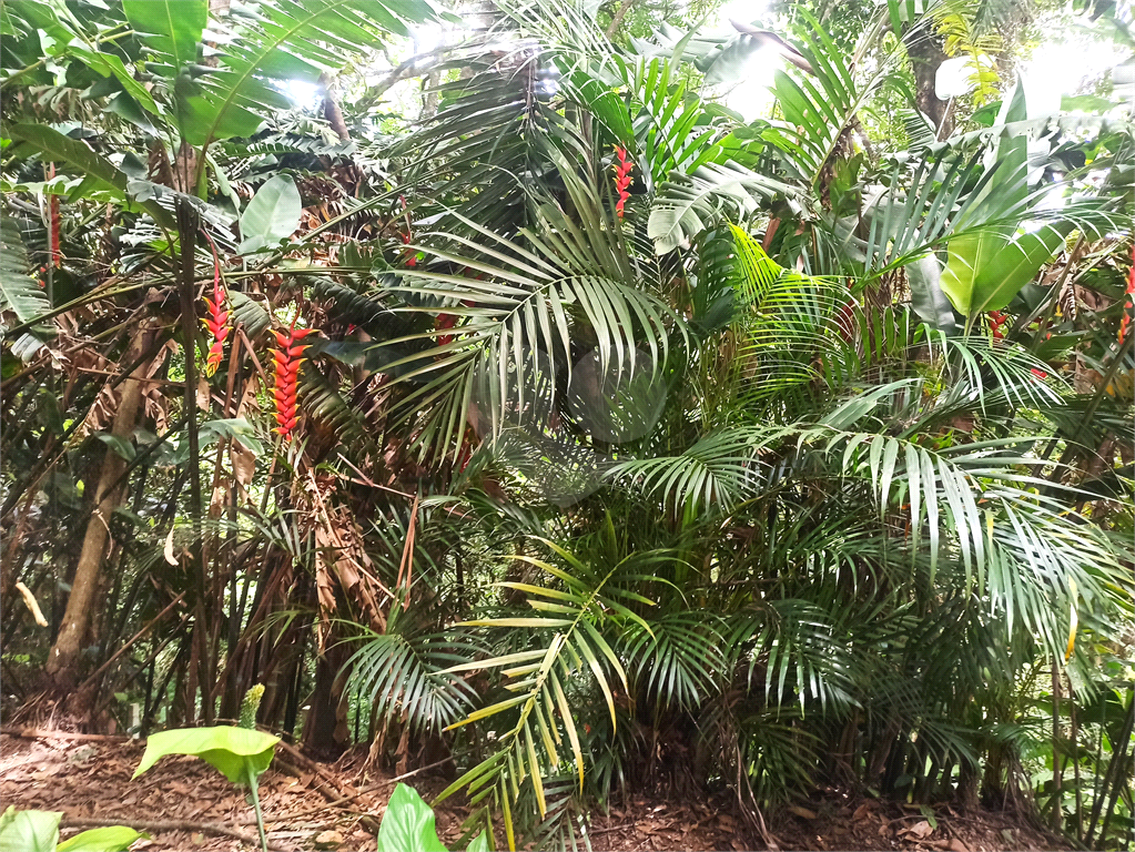 Fazenda à venda com 13 quartos, 1638m² - Foto 34