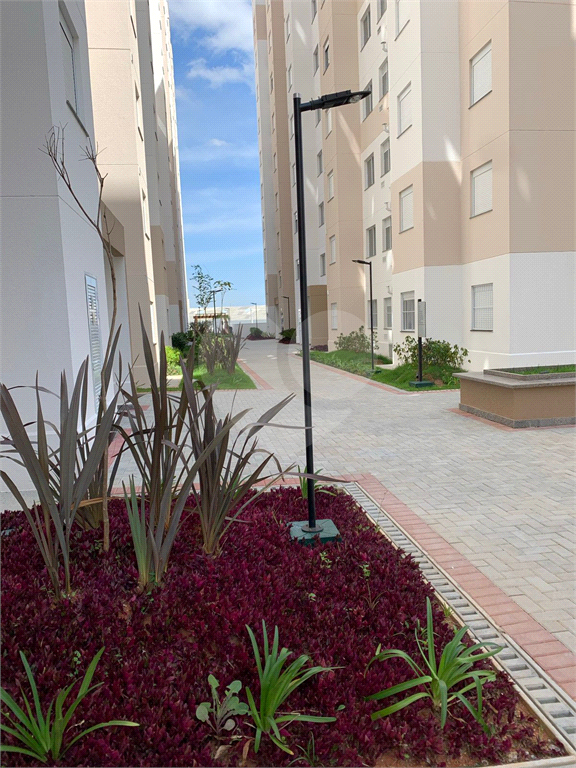 Apartamento na  Vila  Guilherme 2  dormitórios