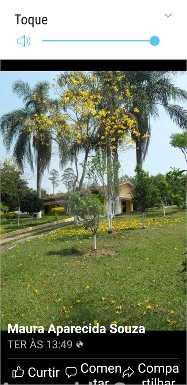 Fazenda à venda com 4 quartos, 120m² - Foto 11