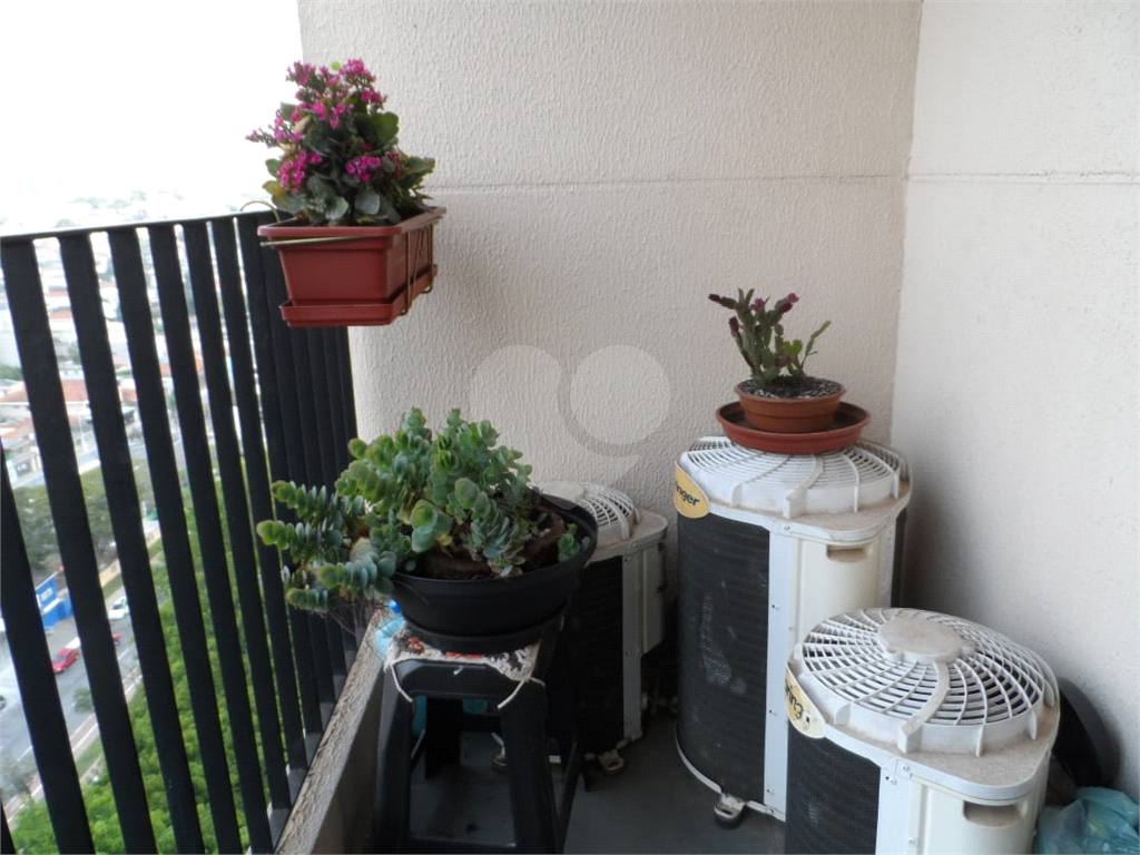 APARTAMENTO em MANDAQUI