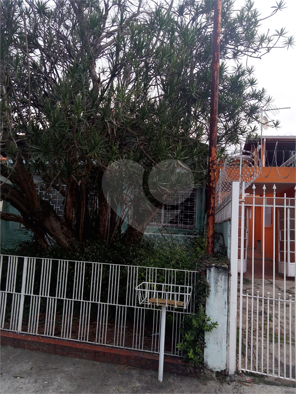 TERRENO em JAÇANÃ