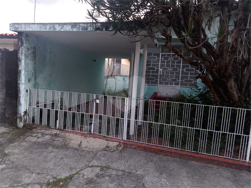 TERRENO em JAÇANÃ