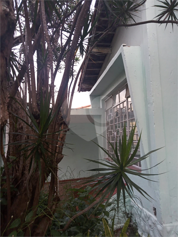 TERRENO em JAÇANÃ