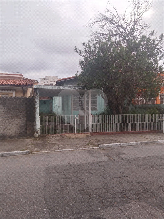 TERRENO em JAÇANÃ