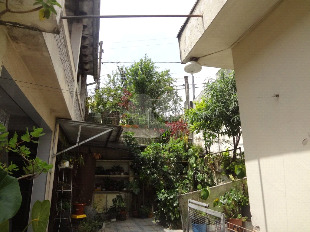TERRENO COM CONSTRUÇÃO ANTIGA NO TUCURUVI