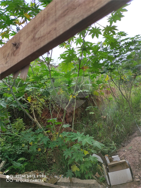 Excelente Terreno em Santana